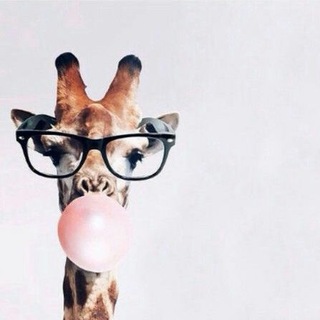 Логотип @lajirafanoticiera - La JIRAFA🦒