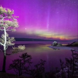 Логотип @lake_baykal - Озеро Байкал путешествуй с Нами🛥🦭🦭🦭