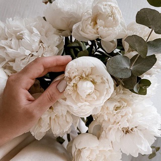 Логотип @lakrica_home - lakrica_home 🐿️