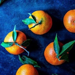 Логотип @lalalifeusa - LaLaLife