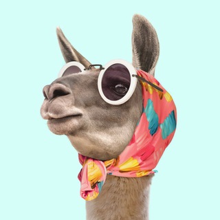 Логотип @lamafon - ЛамаФон