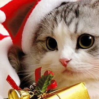 Логотип @lamagor - SkalyYbet