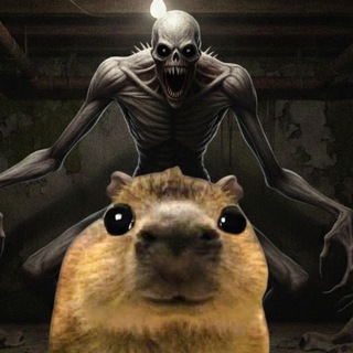 Логотип @lambardi20 - Подвал Капибарди 🦦