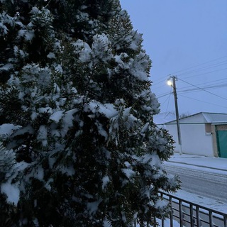 Логотип @lametkii - заметки