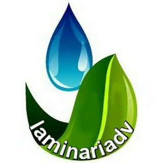 Логотип @laminariadv - laminariadv_морская капуста