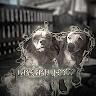 Логотип @lana_and_jayceeee - подвал где обитают дворняги
