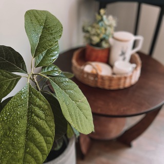 Логотип @lana_home - @lana_home