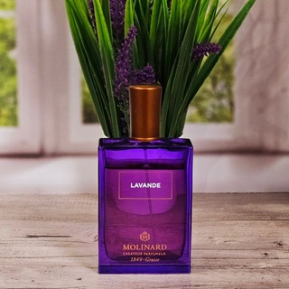 Логотип @lana_parfblog - Духи и туманы