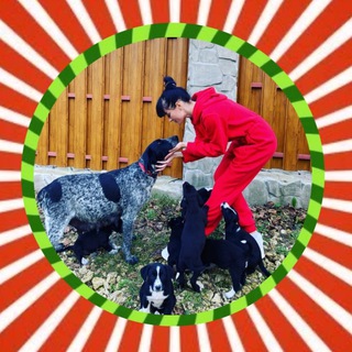 Логотип @lanaliman_com - Im.lana_chat