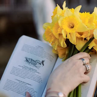 Логотип @lanatellsstory - Сказочница