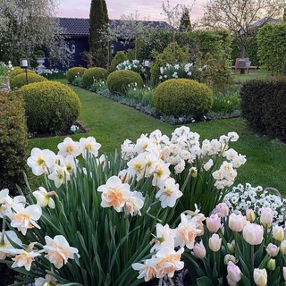 Логотип @lands_design - Ландшафтный дизайн 🌳🍃