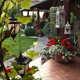 Логотип @landshaft_chat - Дизайн ландшафта