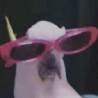 Логотип @language_telegram_group - языки для телеграмма 🪐💫