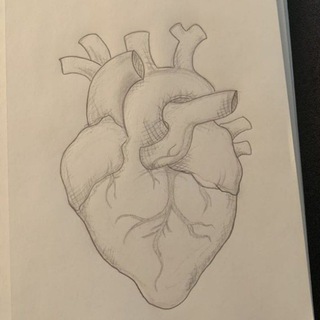 Логотип @lankinalsan - История жизни