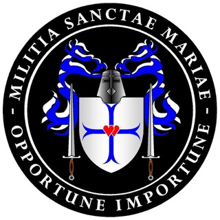 Логотип @lanouvellechevalerie - La Nouvelle Chevalerie