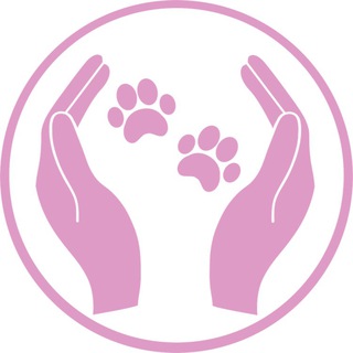 Логотип @lapivruki - Лапы В Руки🐾