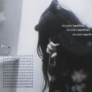 Логотип @lapulkii - aesthetics 美学