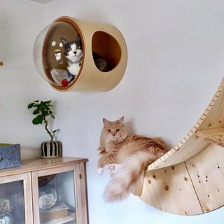 Логотип @lapushke - ЛапУшки