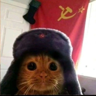 Логотип @lar4ikt7 - РАЗдача Lar4ika