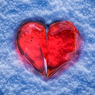 Логотип @laravolodina - Спасение бездомных животных Якутск