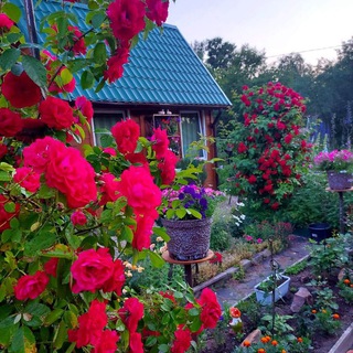 Логотип @larisa_sad123 - Дом, уют, сад, цветы 💐
