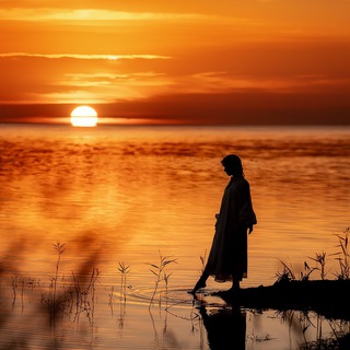 Логотип @lashmanovapro - ФОТОМАГИЯ ✨