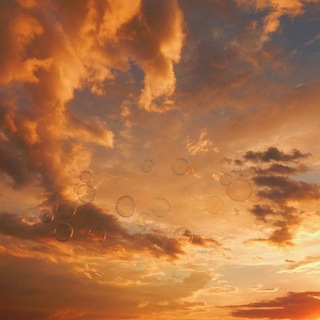 Логотип @lasky_network - Канал в архиве