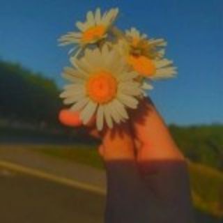 Логотип @lasyy_kanal - Вопросы❤️📢