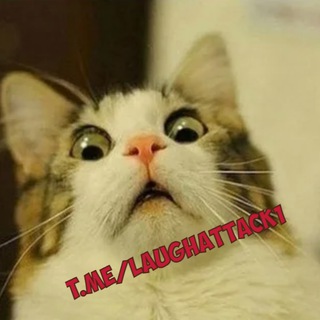 Логотип @LaughAttack1 - Мемы | видосы