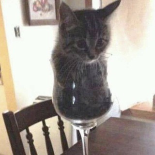 Логотип @laugcllhc - Language confession !!