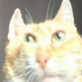 Логотип @laughnseduce - 😂😳 | Анекдот | 🔞🔥🤣