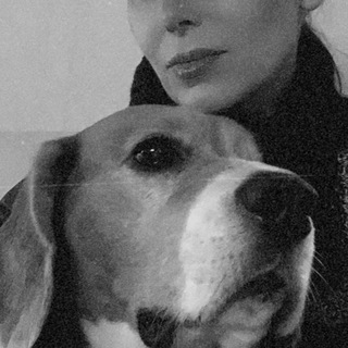 Логотип @lavidanova - la Vida nova