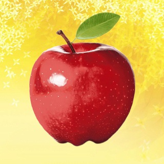 Логотип @lavkawbozon - ЛАВКА WB и OZON