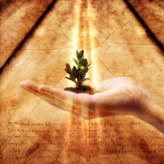 Логотип @lavnivaslive - Быть настоящим. Магия человеческой жизни.