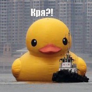 Логотип @lavrentiytheduck - Лаврентий на проводе