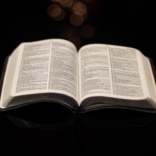 Логотип @law_culture - Правовая культура