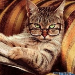 Логотип @lawandorderru - Юридический канал "ПРАВО и ЗАКОНЫ РФ"