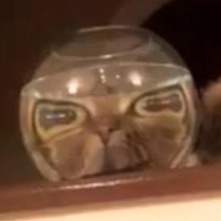 Логотип @lazymeme - Мемы для ленивых пиздюков