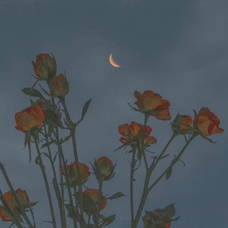 Логотип @lbartss - ❦ 𝐠𝐚𝐫𝐝𝐞𝐧𝐬 𝐨𝐟 𝐚𝐫𝐭 ❦