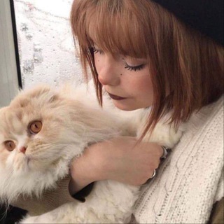 Логотип @lcvesst - dreams