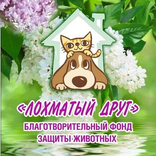 Логотип @ld_58 - БФ "Лохматый друг"