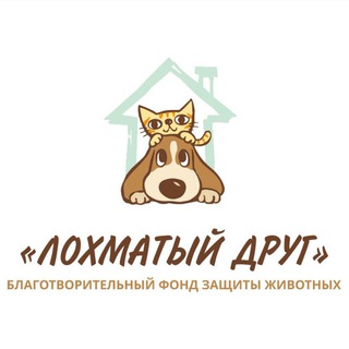 Логотип @ld_58ch - БФ "Лохматый друг" чат