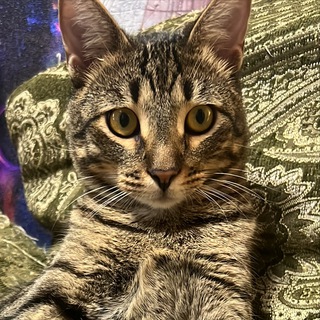 Логотип @le1rfn - 𝗟𝗘𝗜𝗥𝗳𝗻 • life