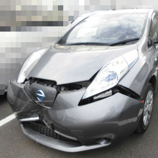 Логотип @leafvladivostok - leaf осмотр по факту