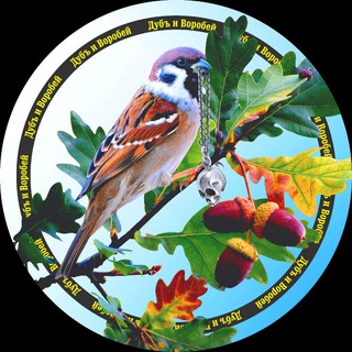 Логотип @league_job - Карьерное Сообщество "Дуб и Воробей"