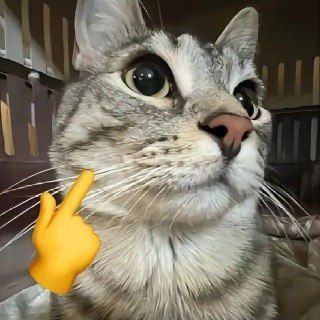 Логотип @leapmems - LeapMems 🥝😼🥀