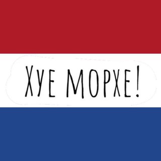 Логотип @learning_nederlands - Nederlands leren — Учим нидерландский