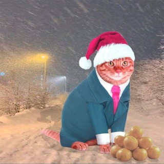 Логотип @learnkiti - кить | познавательно