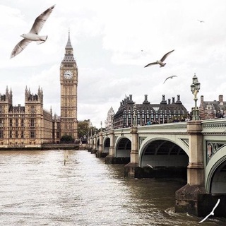 Логотип @learnsenglish - Learn English | Английский язык | Мемы, идиомы, смешные новости