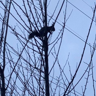 Логотип @learntothinkwithme - Пока без имени